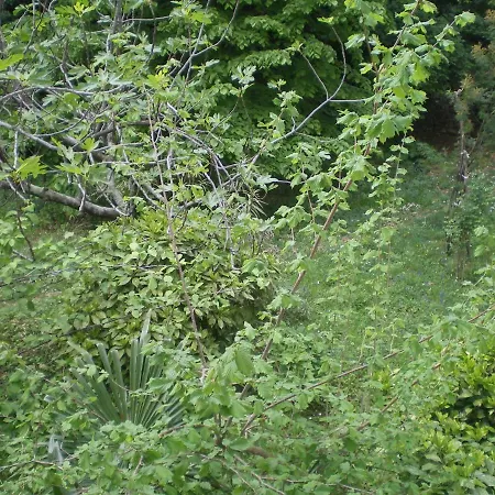 Nadia Apartament Lovran