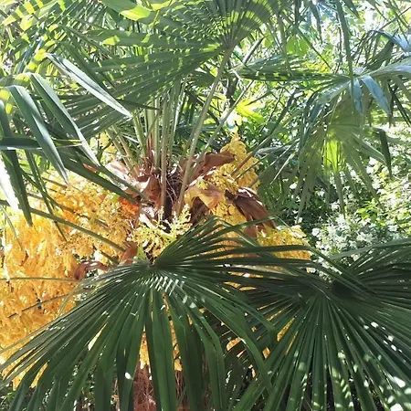 Nadia * לובראן