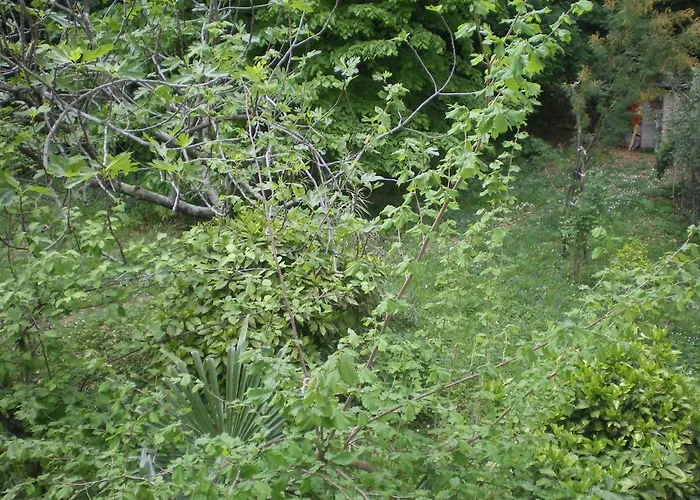 Nadia Apartament Lovran